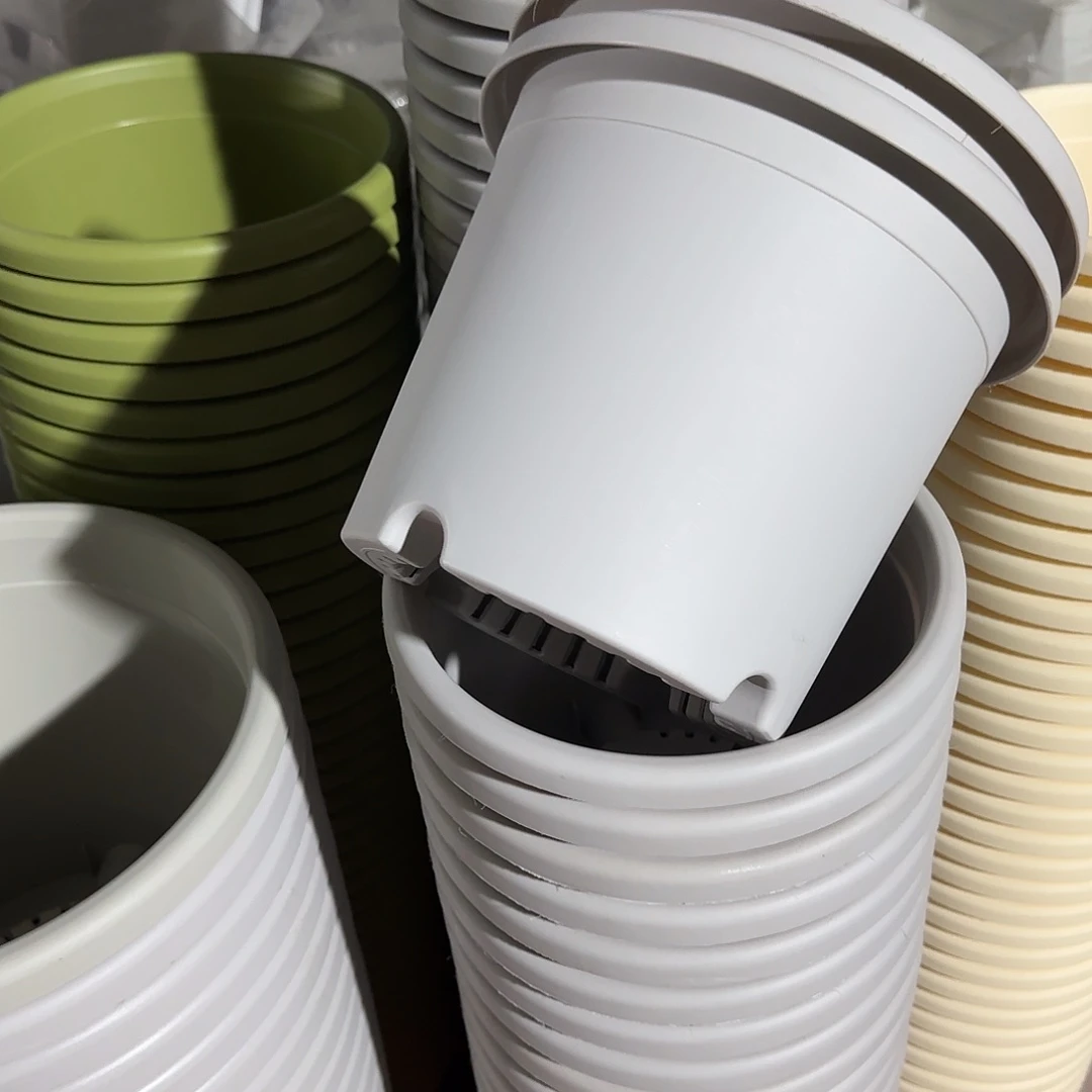 树脂四季3号无托10个灰白微瑕