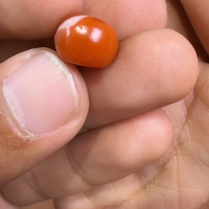 吊坠柏香籽/百香籽