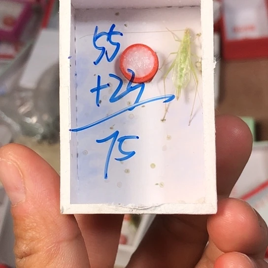 福***斯蟋蟀3333333333333333