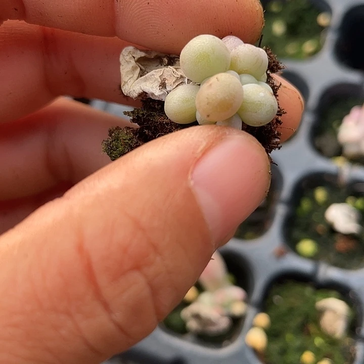 水***尘一我一拍满18包邮