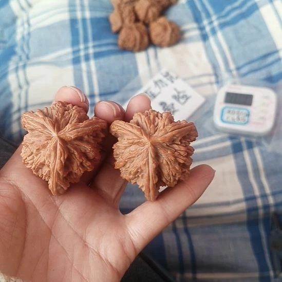 满***肥把件文玩核桃虎头奔工艺品三棱