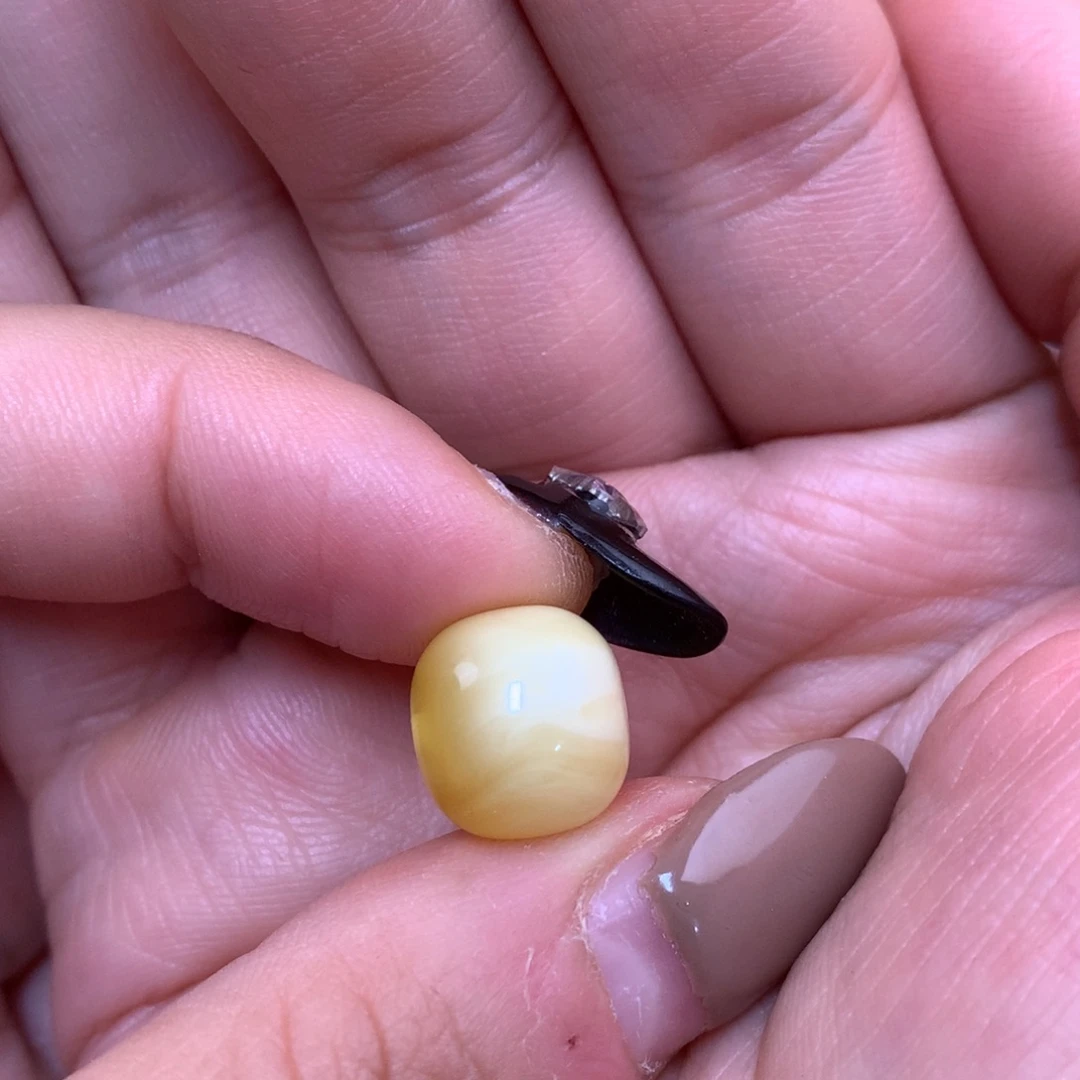 琥珀未镶嵌裸石蜜蜡12