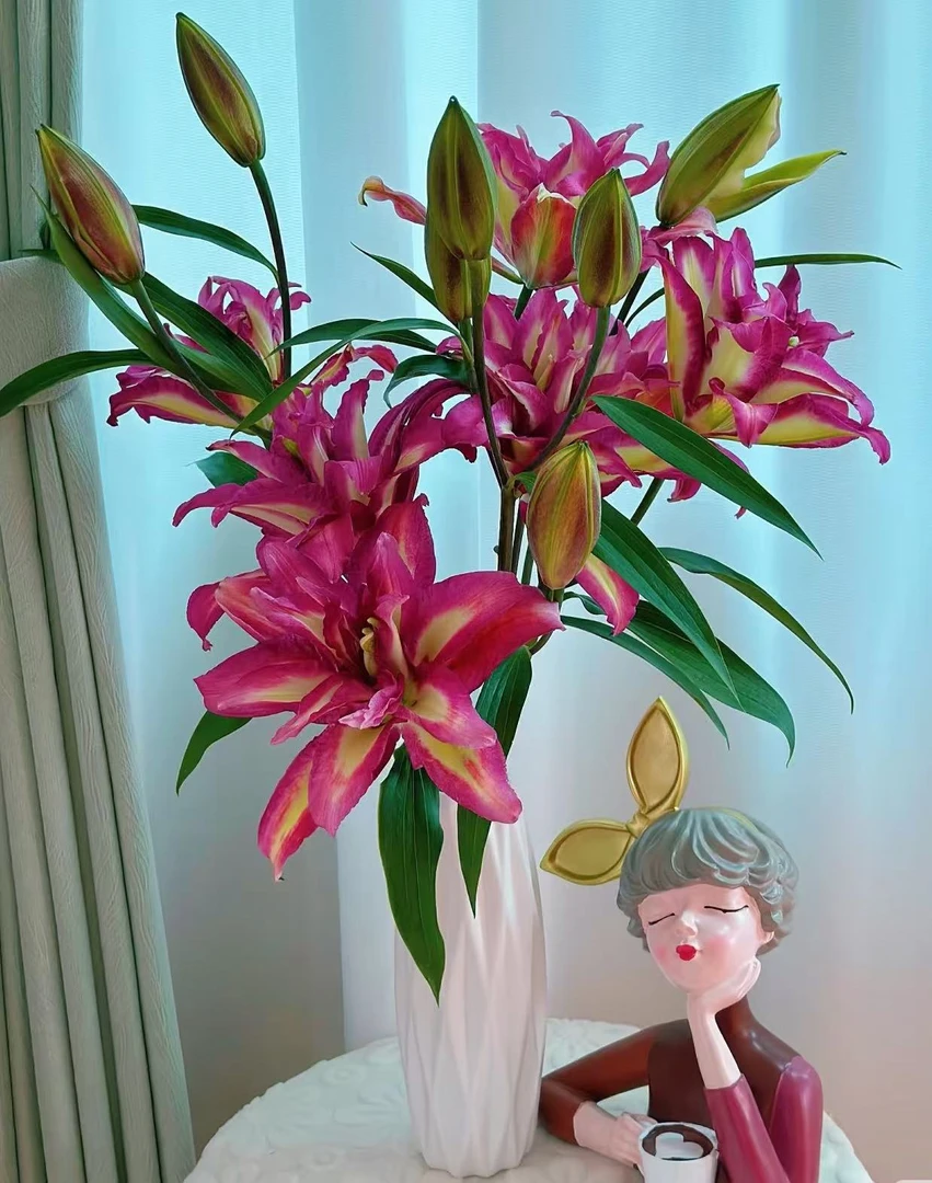 【买百合选林冲】雷哈娜重瓣香水百合 质感高级 清香 大花朵