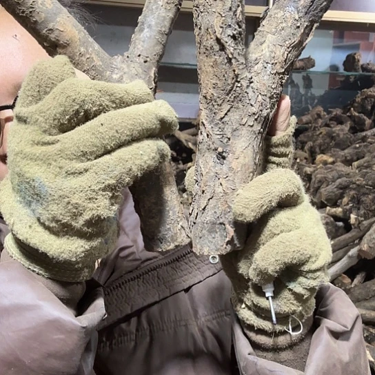 香榧木好***字火琉璃的故事毛料摆件