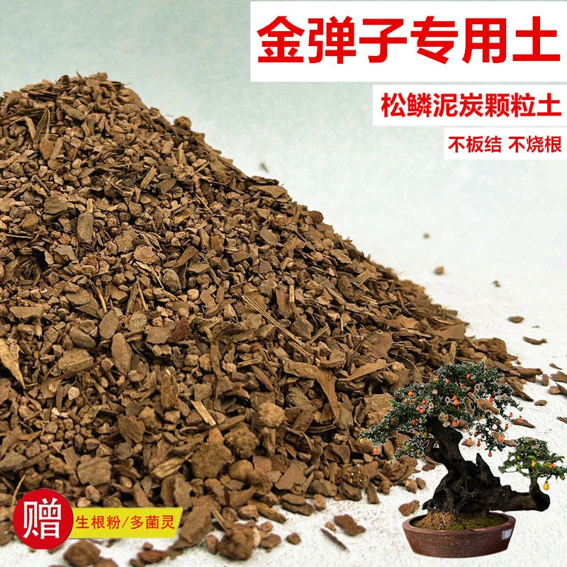 金弹子专用土花土赤玉土风化土盆栽盆景营养土酸性沙质土种植土
