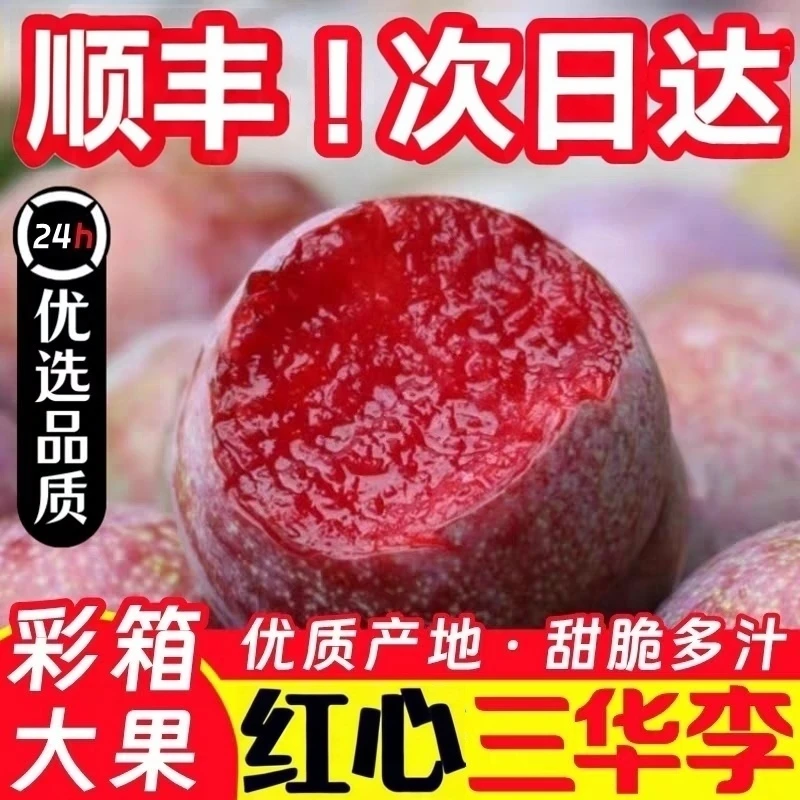 （顺丰次日达）广东红心三华李子新鲜水果红心李子孕妇水果5斤广东省