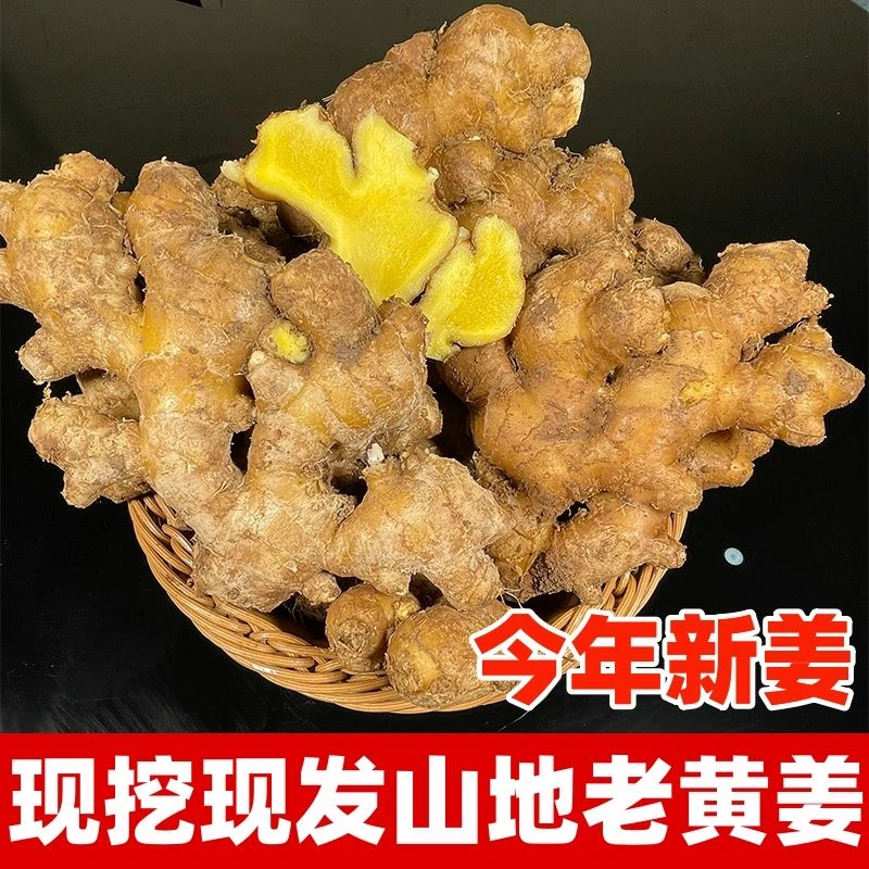 【小黄姜】云南小黄姜新姜高山露天种植新鲜现挖产地直发1-9斤