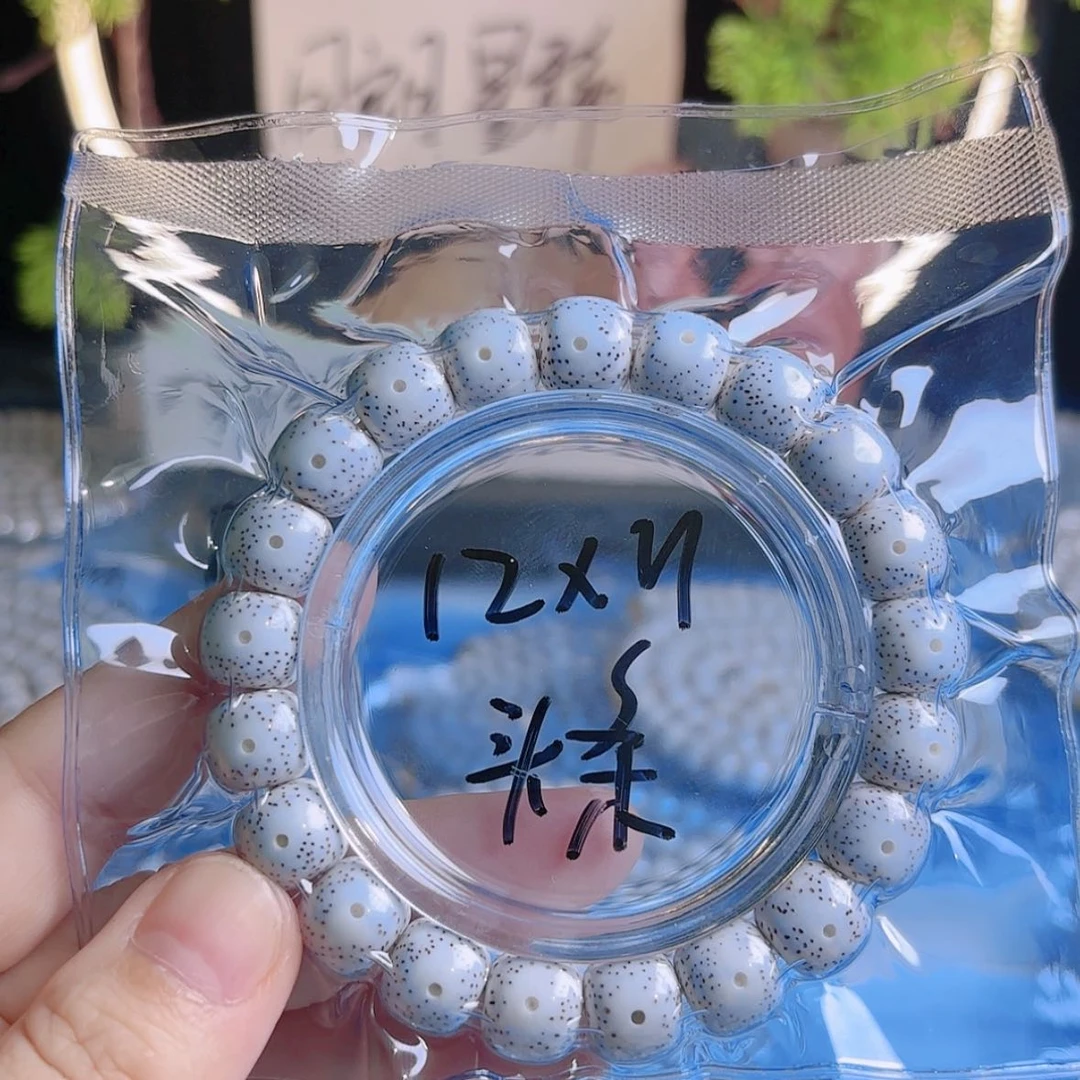 【闪购商品】星月菩提吊坠东**王