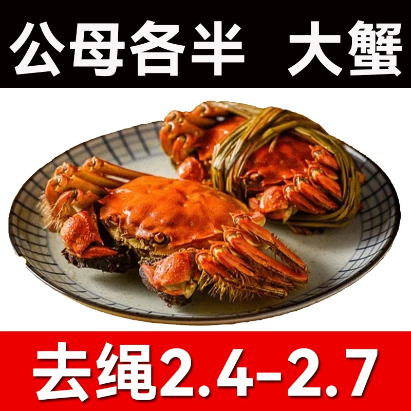 【公母各半】江苏大闸蟹（ 2.4-2.7两）*8/10只 河蟹公蟹活螃蟹顺丰