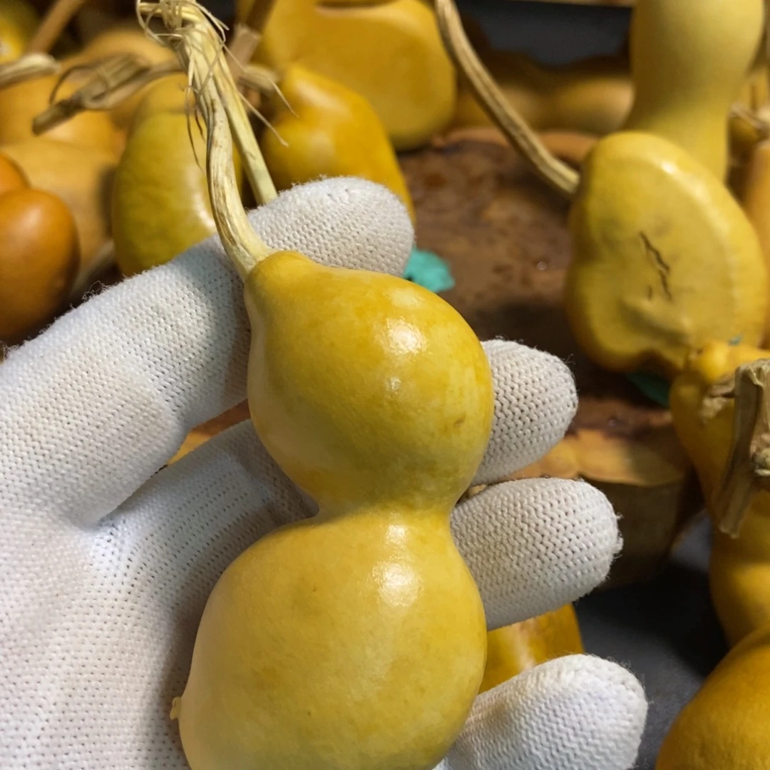 予*葫芦葫芦真的