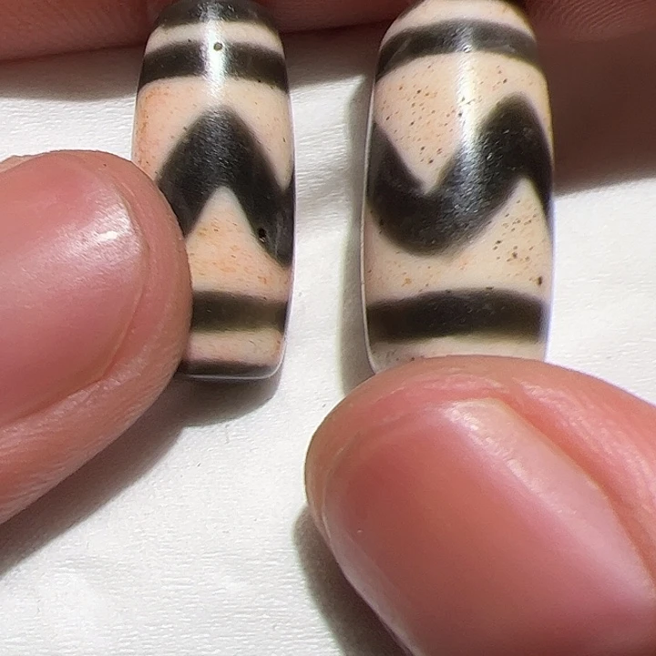 香榧木你是否也有