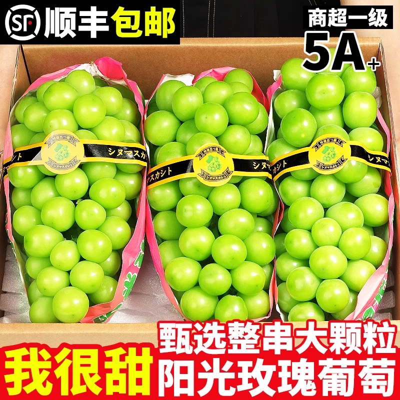 【商超品质】正宗大凉山阳光玫晴王瑰葡萄当季新鲜水果爆汁无核无籽