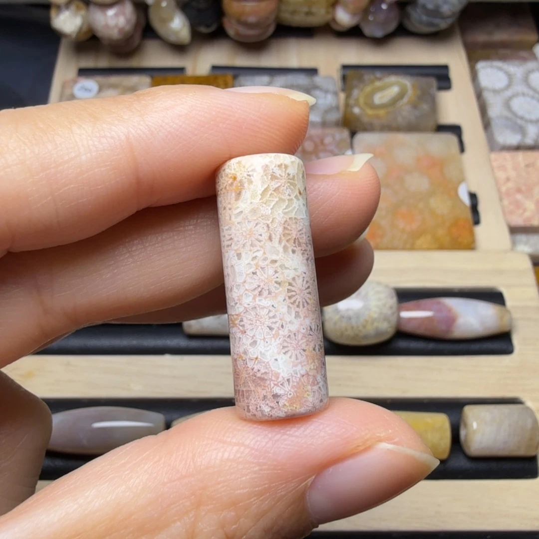 硅化玉未镶嵌20一个，100米6个