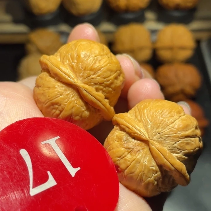铃铛31尺寸核桃。