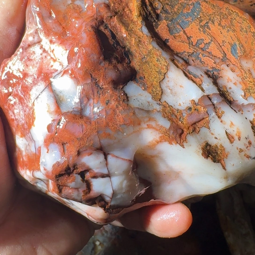 宝***敦寿山石89998899899988