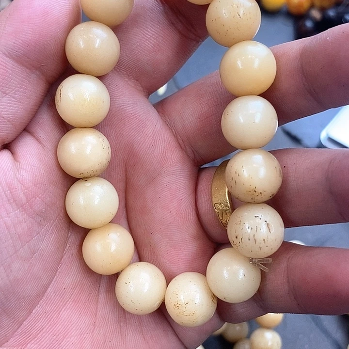 大果紫檀（缅甸花梨）899