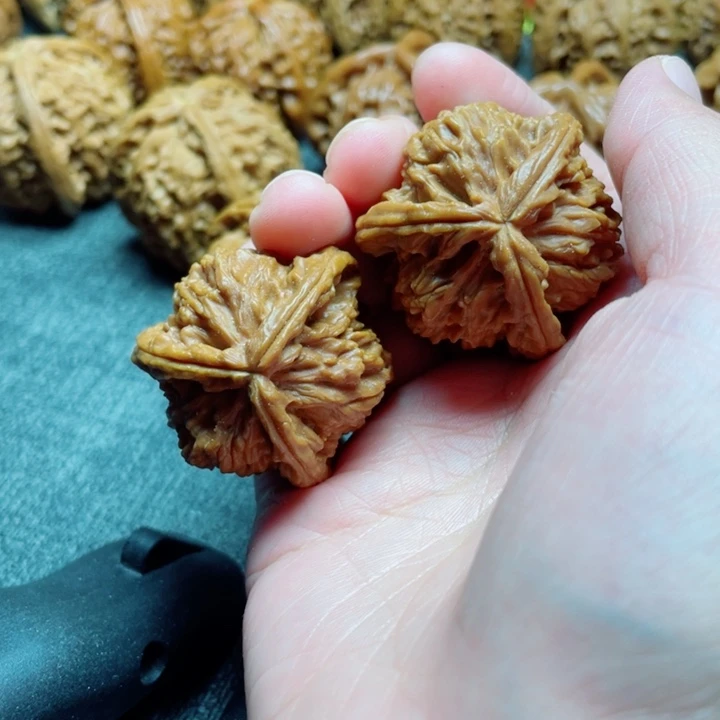 愿***手工三棱白狮子三棱