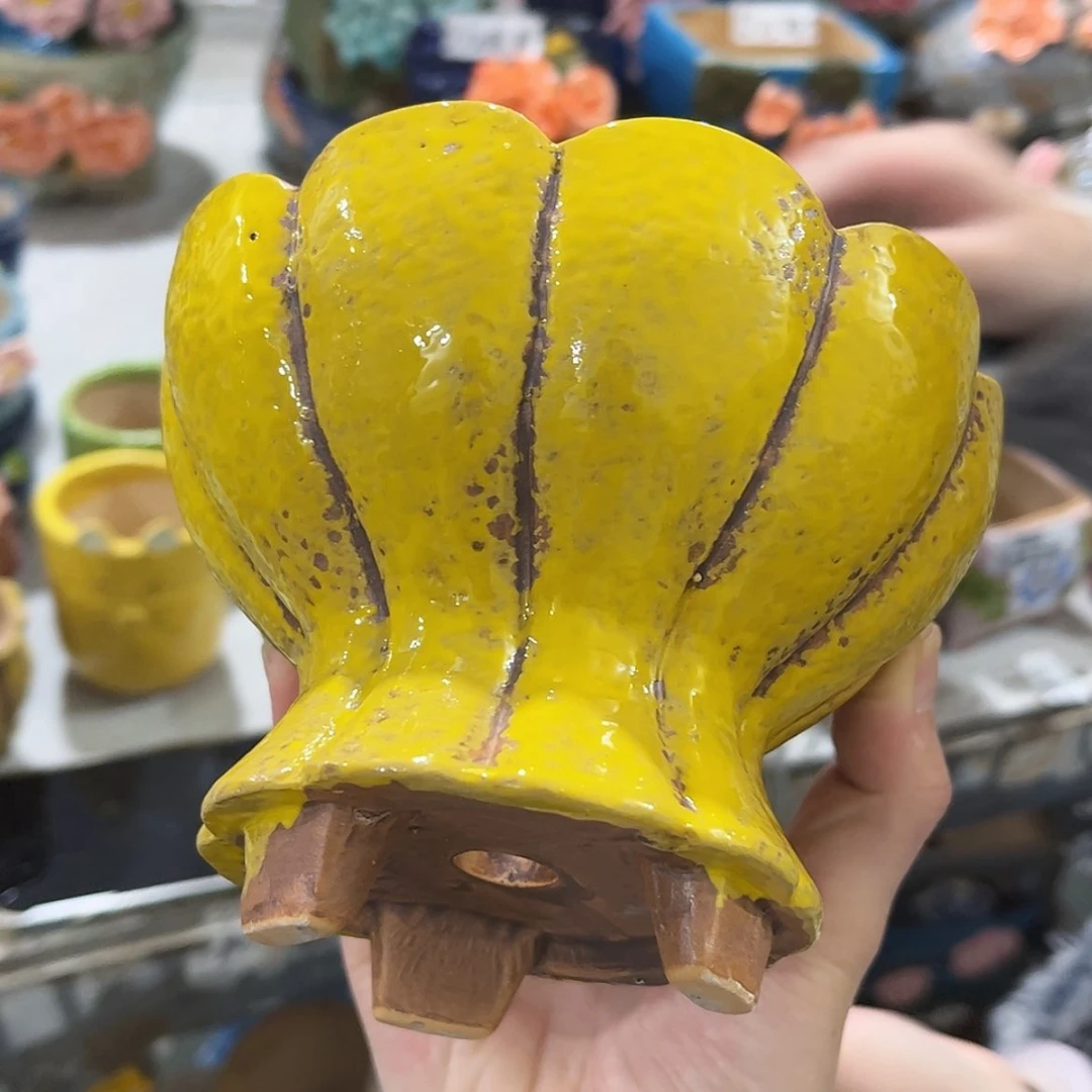 【闪购商品】红陶福利