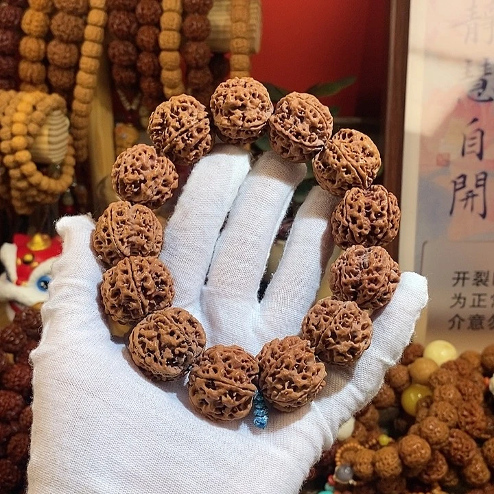 金刚菩提手串255原籽一物一图P