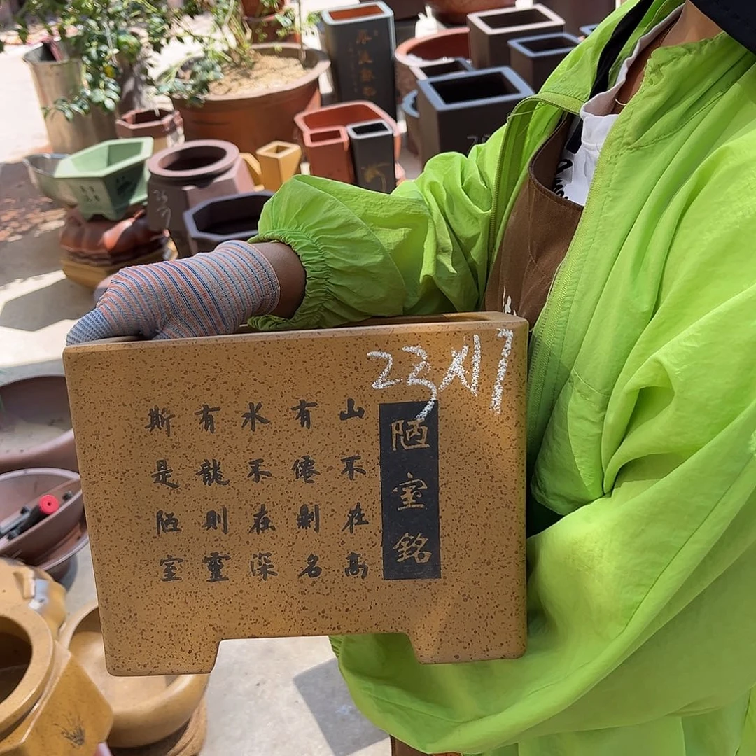 紫砂花盆盆景艺术