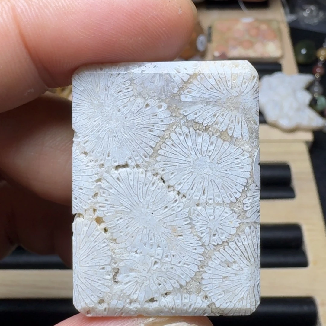 未镶嵌纯天然色有机玉石保真色硅化玉