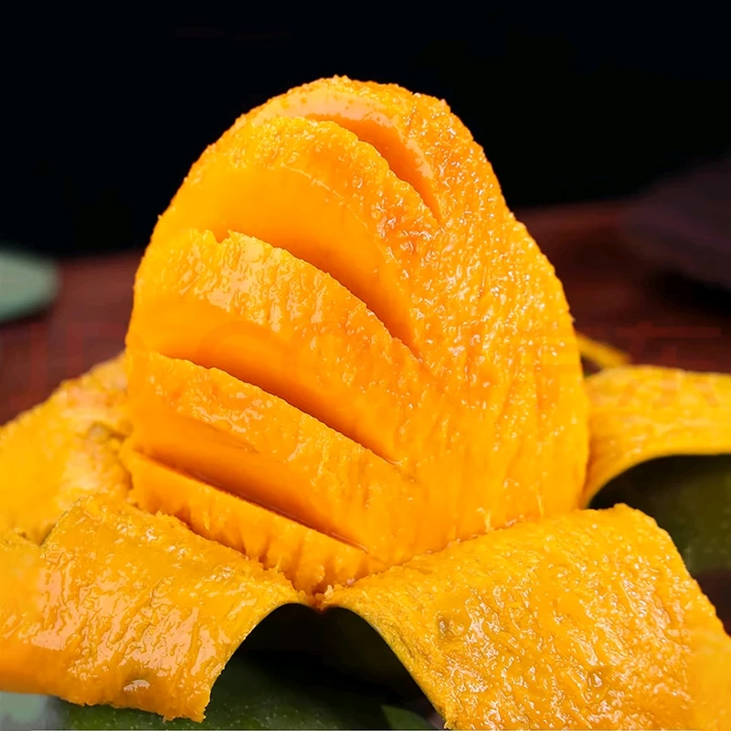 正宗攀枝花现摘凯特芒果新鲜应季水果大芒果带箱五斤 单果500+