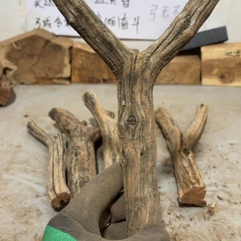 大果紫檀（缅甸花梨）N*