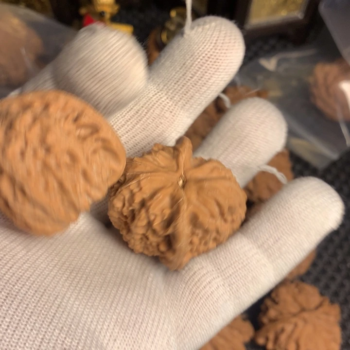 没****把件文玩核桃白狮子