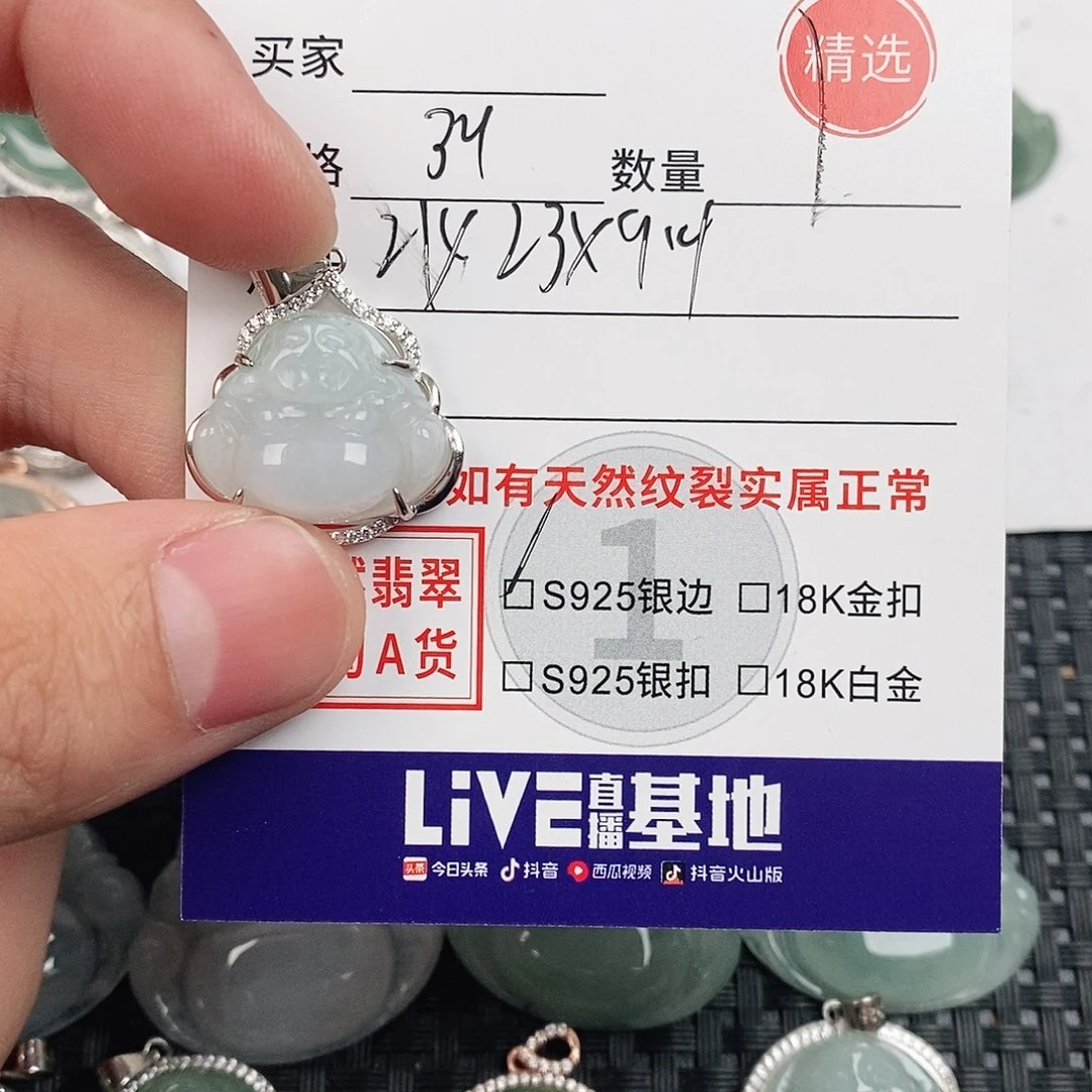 翡翠银S925镶嵌颈饰