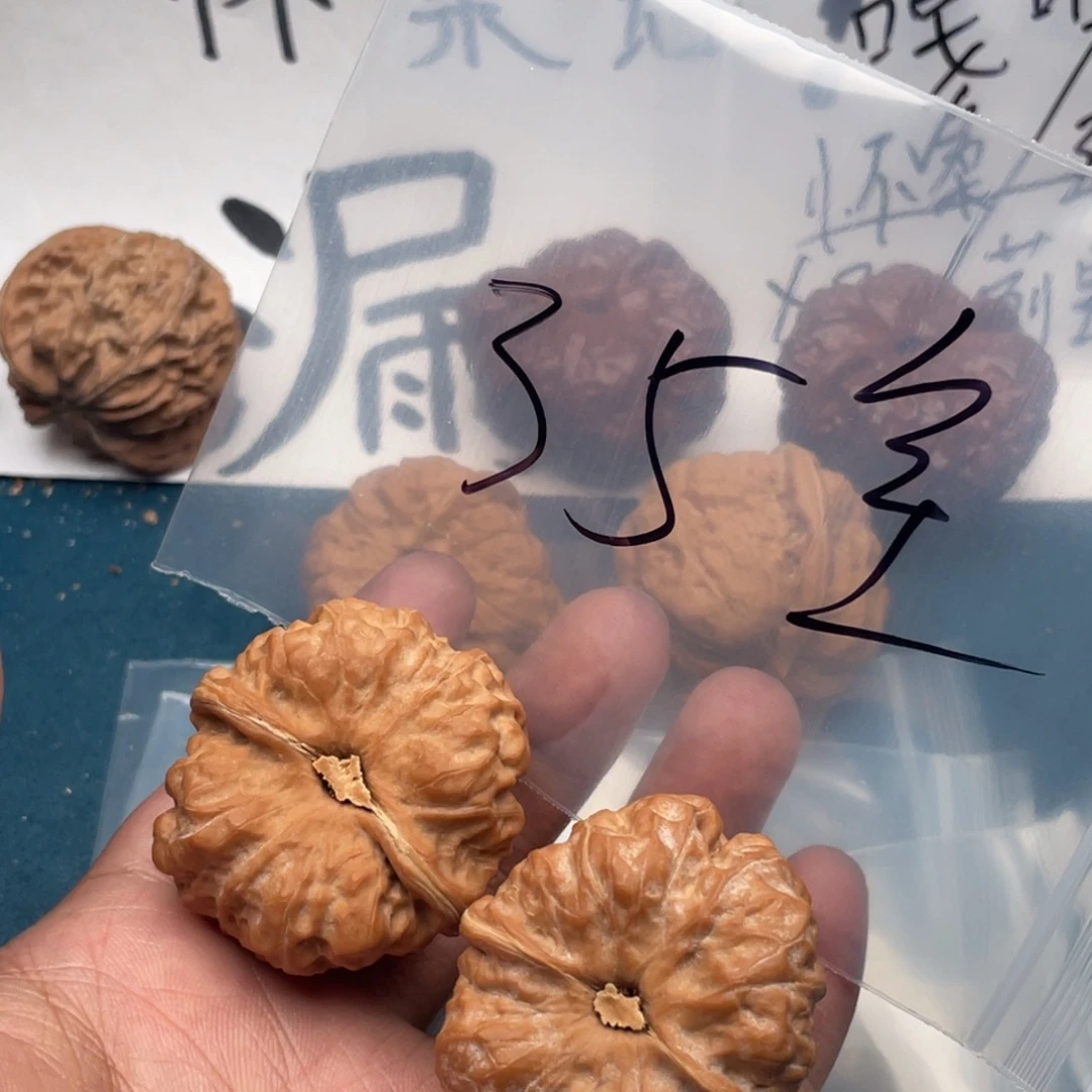 核桃W@7449749746979457