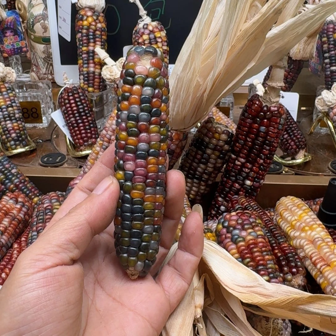 柏香籽/百香籽吊坠佩**姐