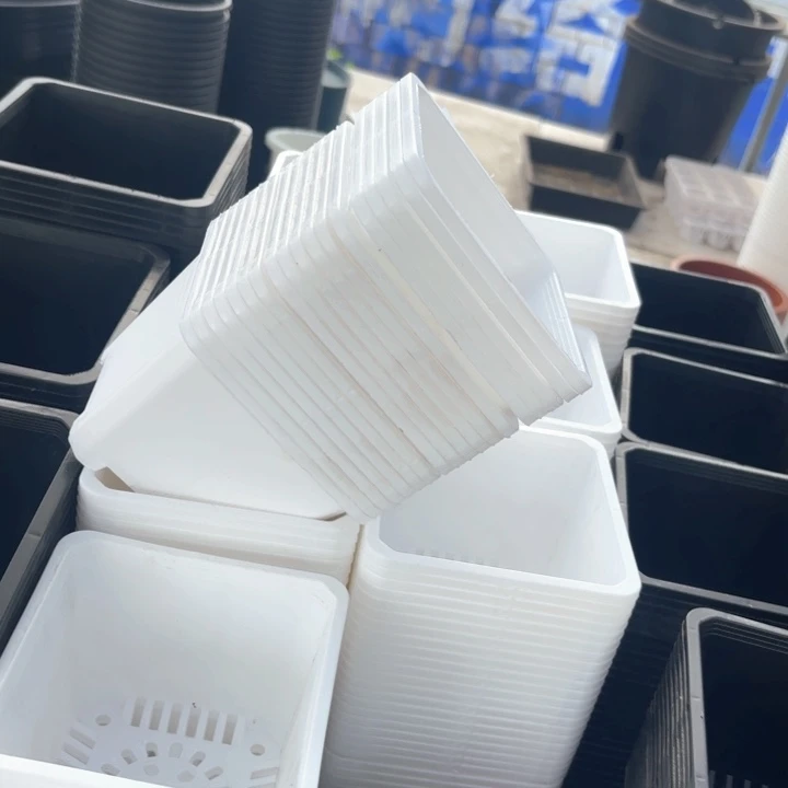 120白方盆11公分高8公分15个