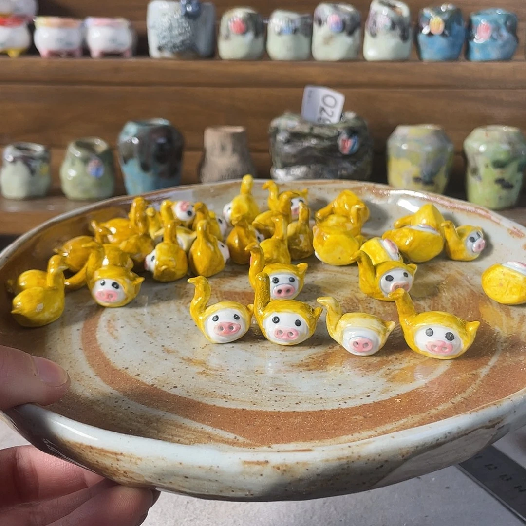 鸭子猪需要选的联系主播