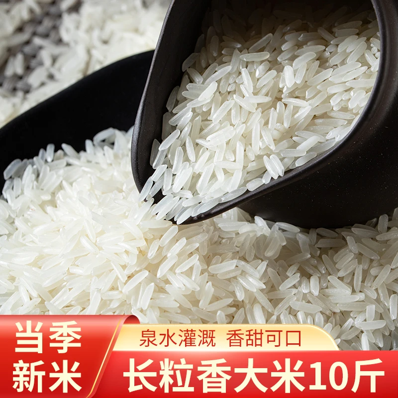 【25年新米】长粒香大米籼米南方农家自产