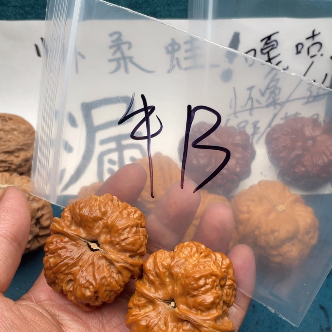 核桃W683638396369946963