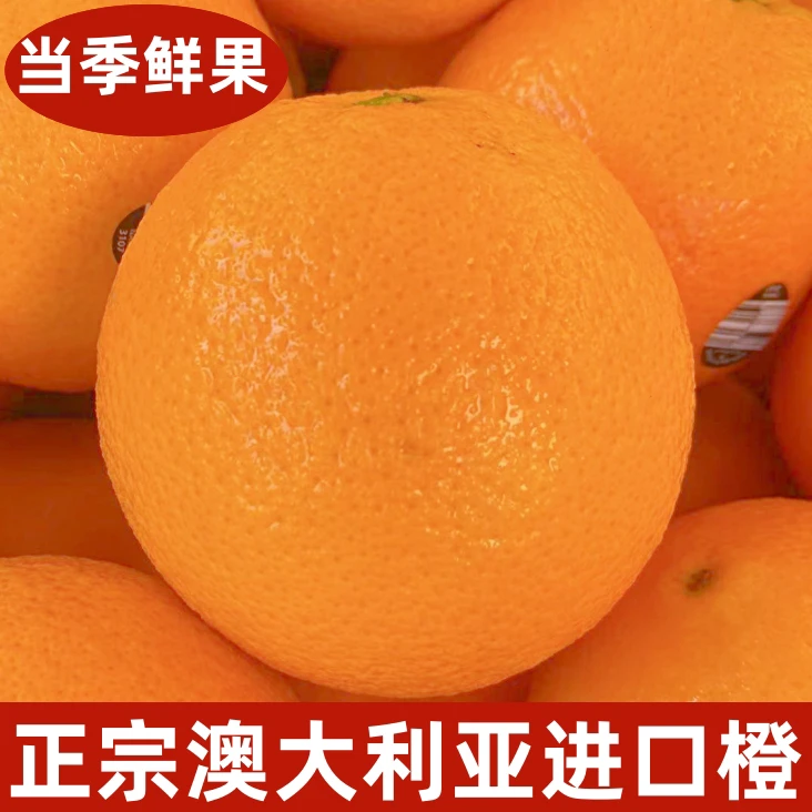 澳洲进口脐橙3-5斤新鲜脐橙甜手剥薄皮大果孕妇应当季橙子水果