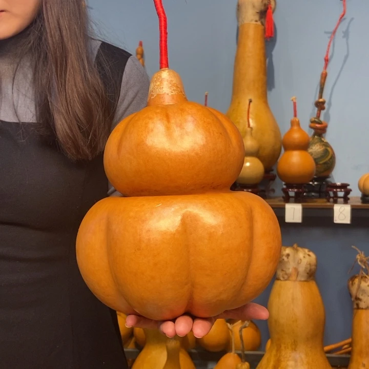 阳***葵今天下午你就不用回去上课嘛