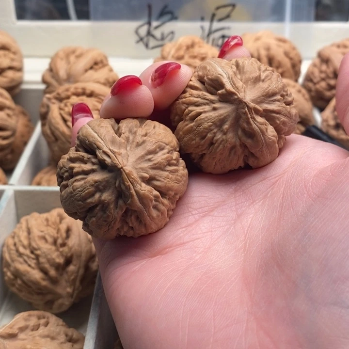 愿***输霸王龙全品无修一刀没动