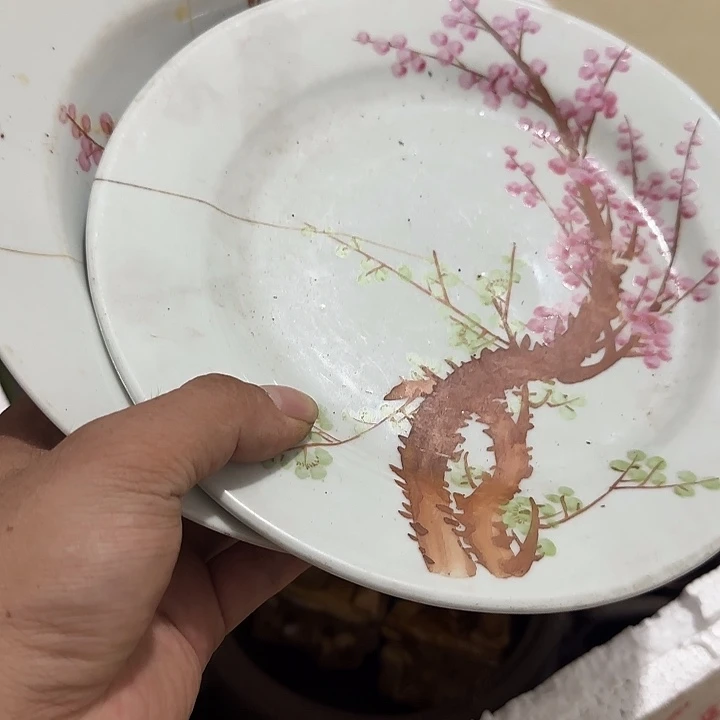 御***树扇子吃v宝贝宝贝宝贝宝贝宝贝