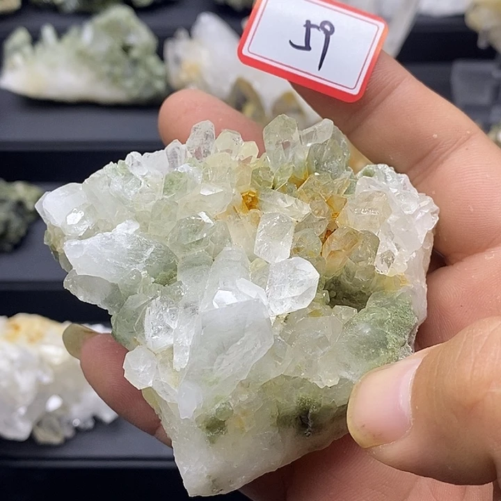 有机玻璃巴基斯坦绿幽灵簇59