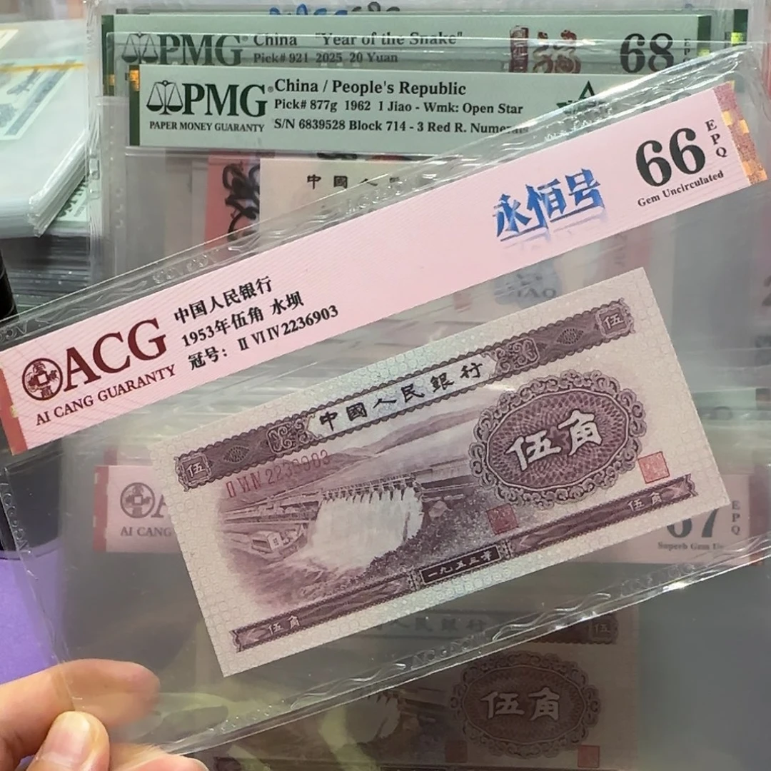 纸2236903。。。。。。。。