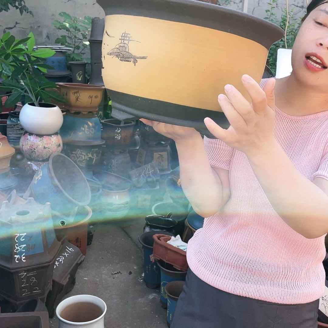 003花盆紫砂花盆紫砂