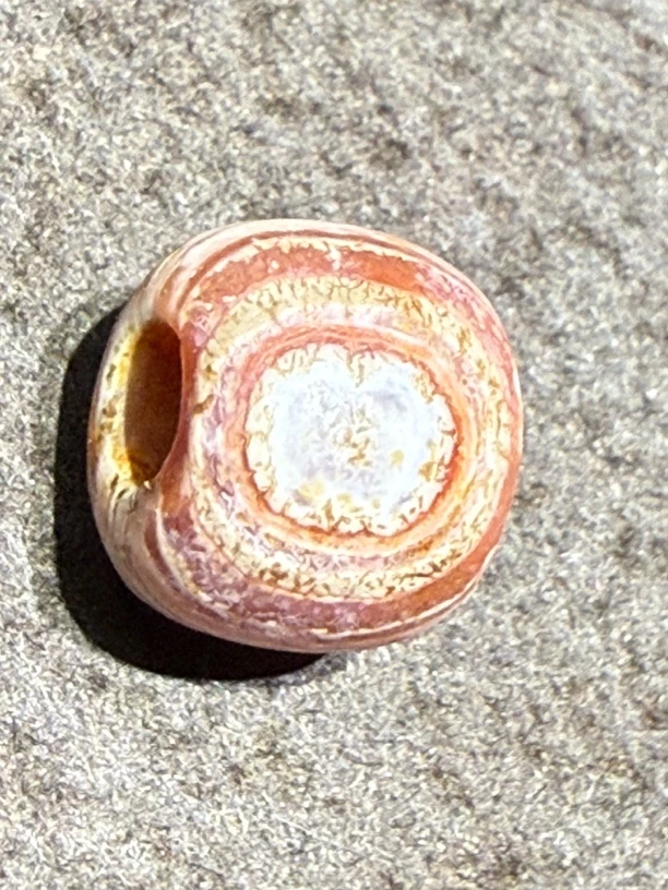 奶油白白皮辽玛珠