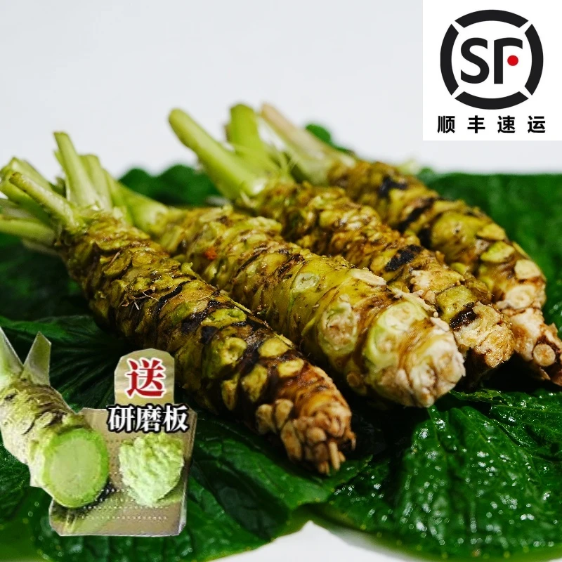 【送磨板】新鲜山葵根80克3根左右适合1-2人入门级尝鲜现鲜磨山葵酱