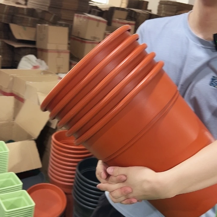 特价翻边口32高35陶红无托5只