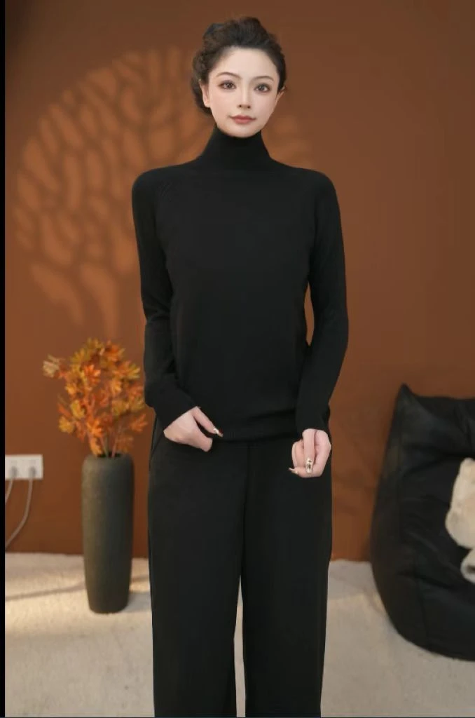 2024秋冬新款韩版高领百搭修身气质款长袖打底衫时尚网红