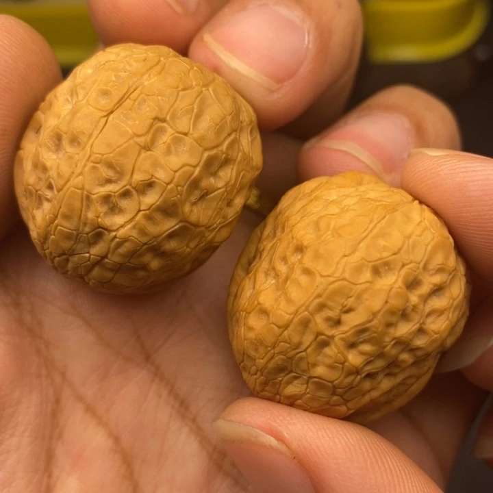 吊坠文玩核桃33尺蛇皮蛙