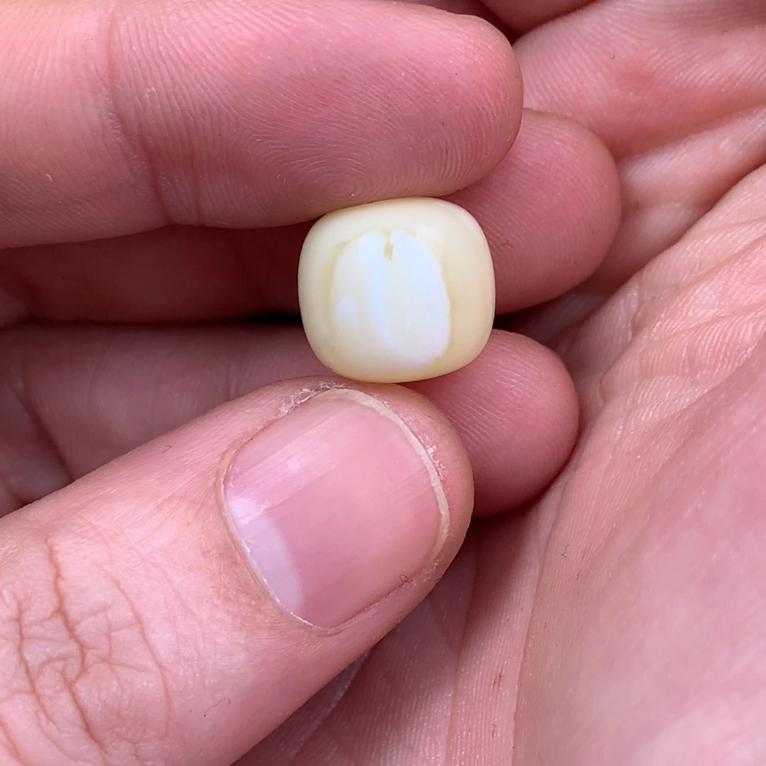 琥珀裸石未镶嵌小*蜜蜡