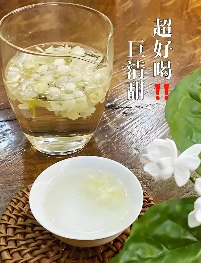 新鲜手串茉莉金银花泡水清香淡雅品鉴头春