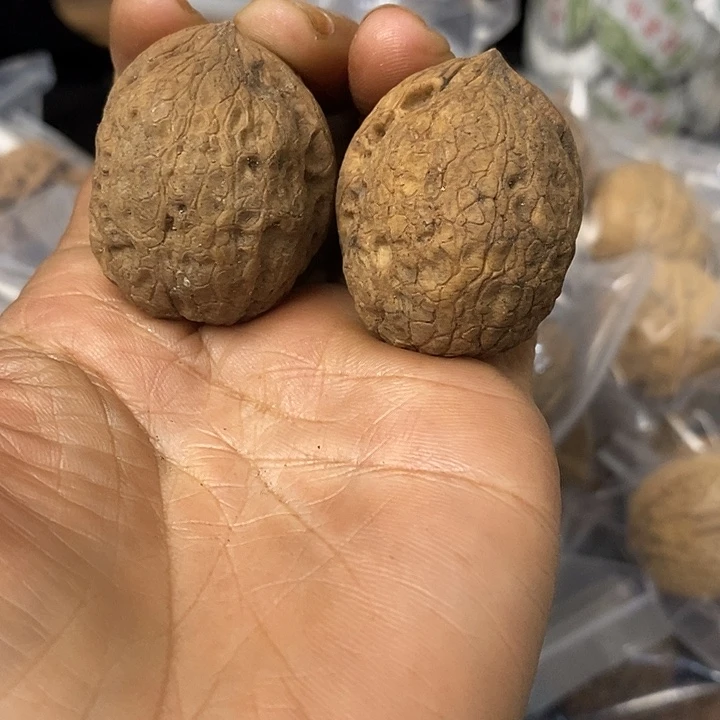 核桃云南铁核桃基地112